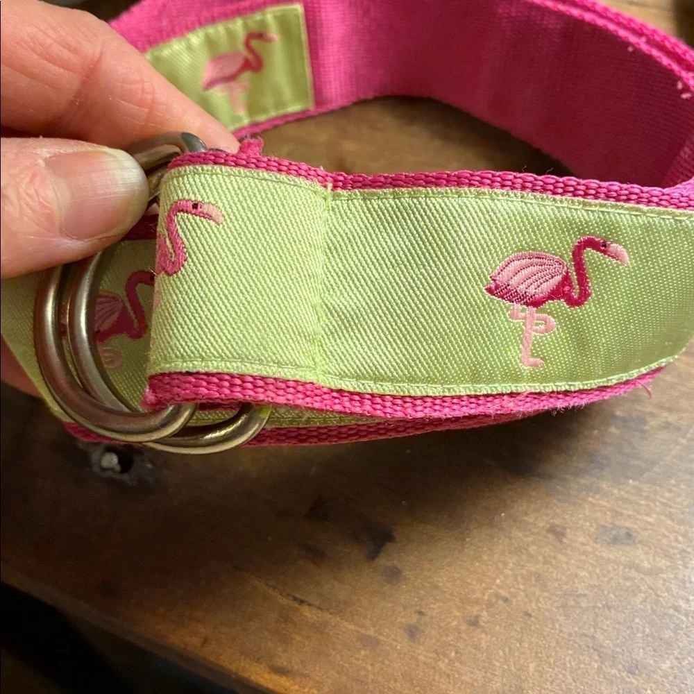 Toe Goz D Ring Pink/Green Flamingo Belt- S